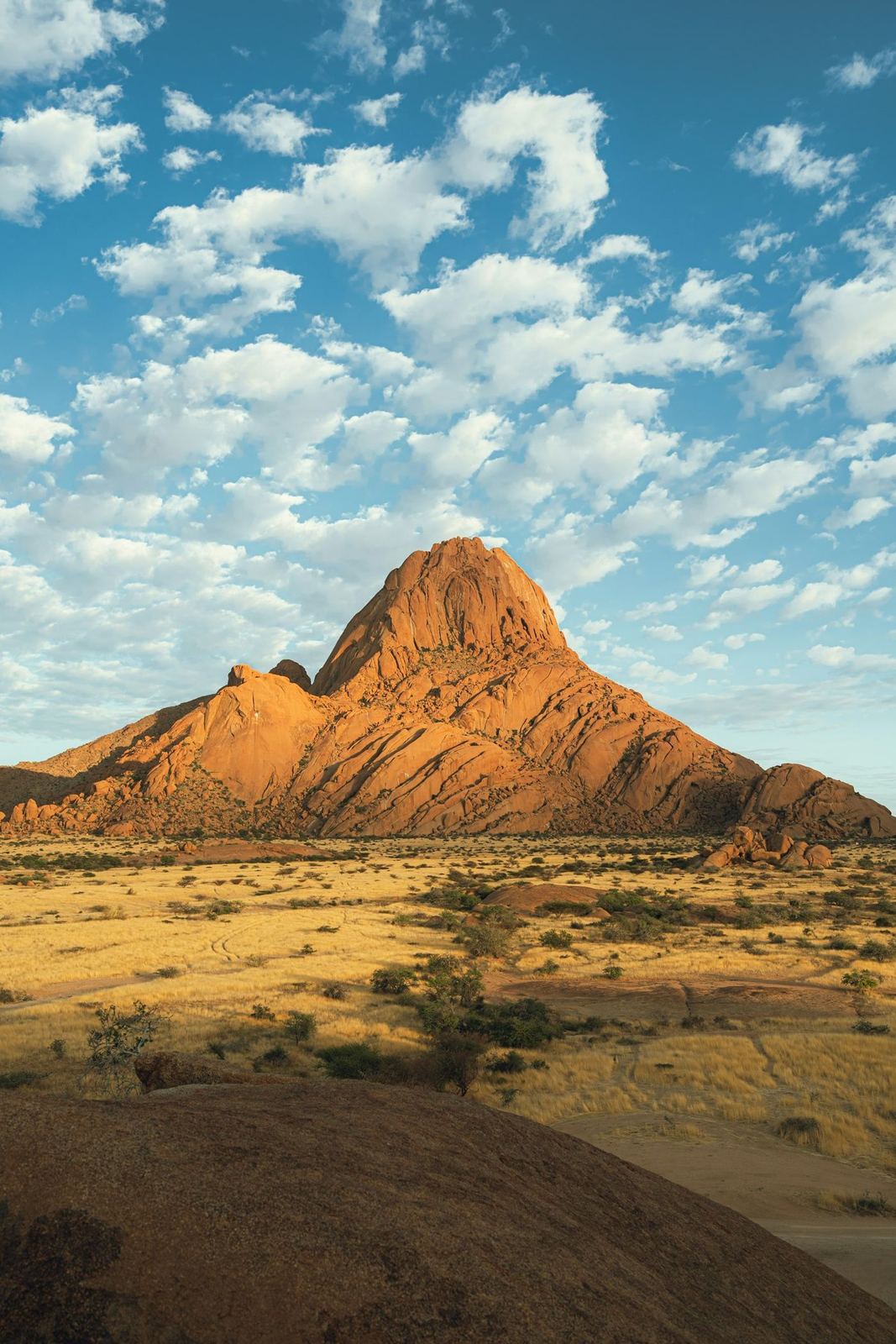 Arid highland landscape